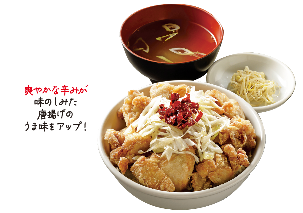 徳山唐辛子唐揚げ丼